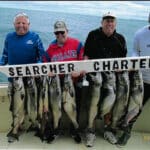 Searcher Charters board of hanging fish